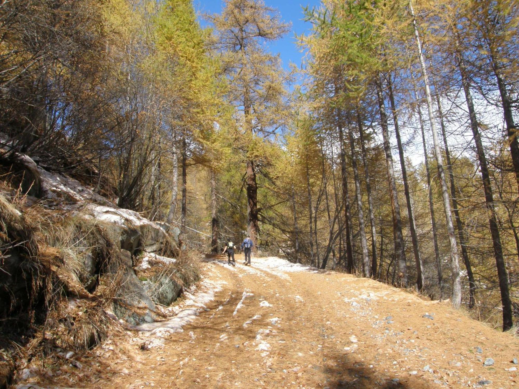 Hotel Gran Baita Gressoney-Saint-Jean Luaran gambar