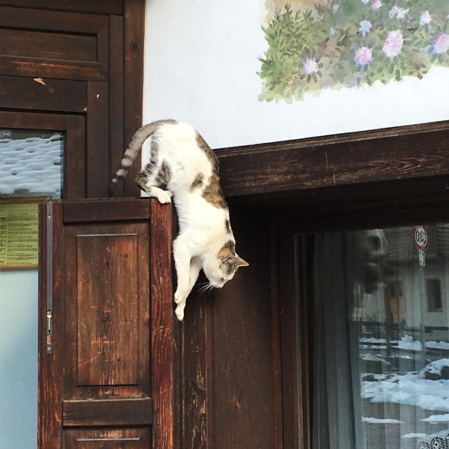 Hotel Gran Baita Gressoney-Saint-Jean Luaran gambar